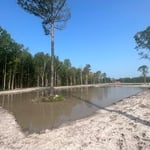 Land clearing & new pond