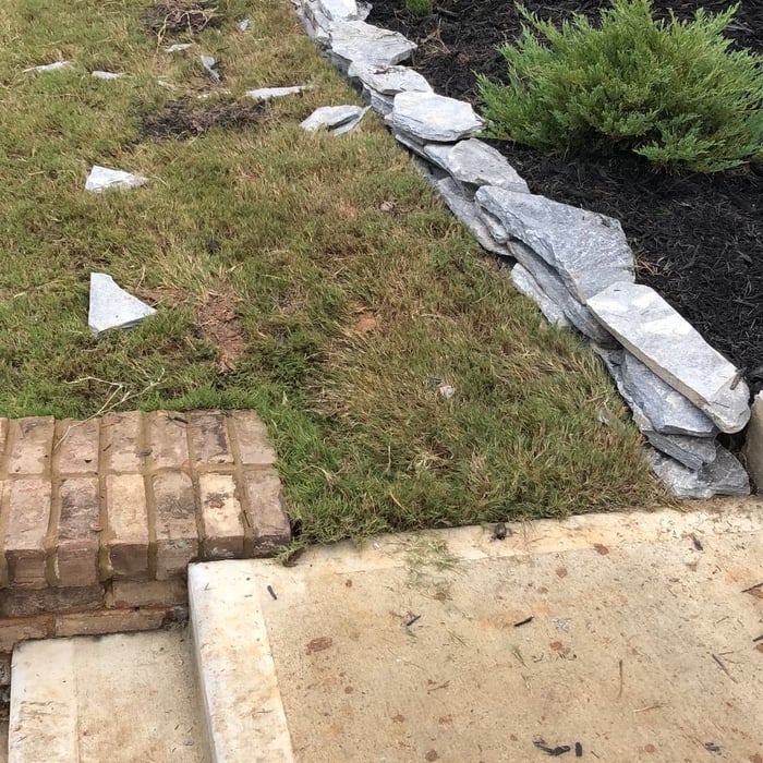 Border and Bed