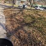 Curbside cleanup