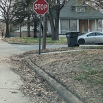 Curbside cleanup