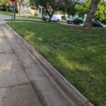 Curbside cleanup