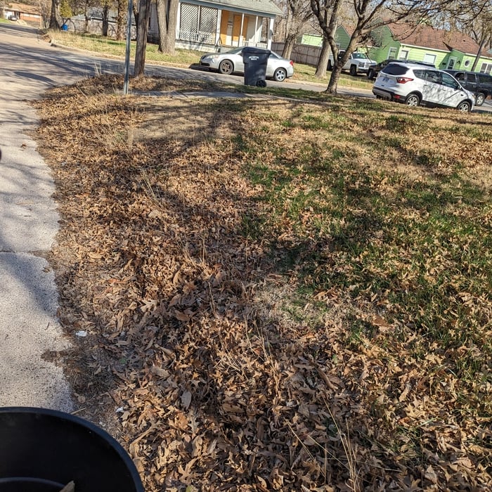 Curbside cleanup