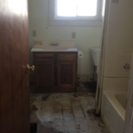 Before pictures