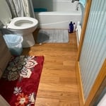 bathroom 1 before remodel