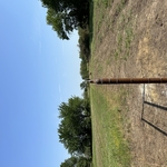Field Fence and Barb Wire