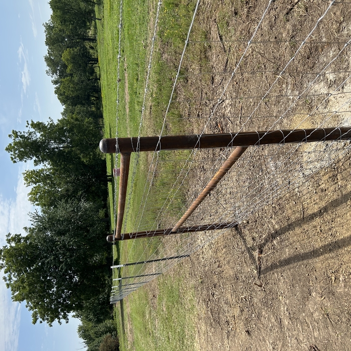 Field Fence and Barb Wire