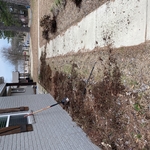 Removing old mulch