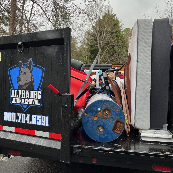 Junk Removal