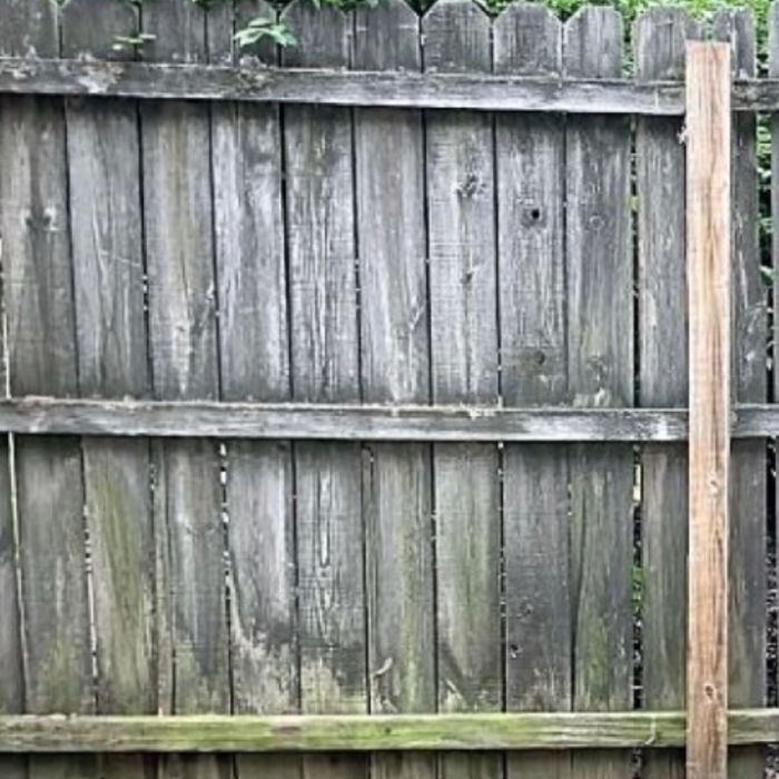 Exteriror Fence