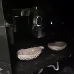 Restaurant remodeling