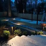 Backyard Renovation