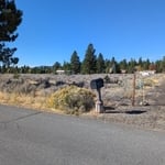 Lot Clearing