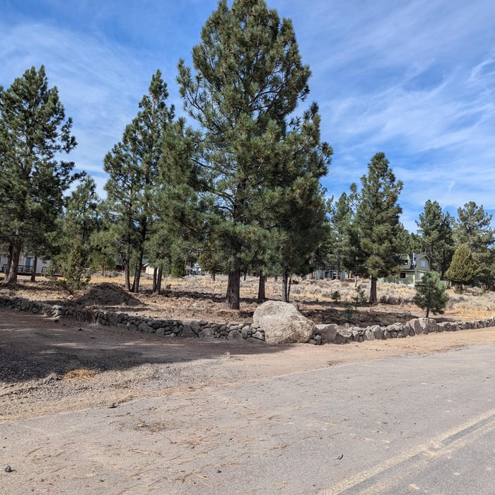 Lot Clearing