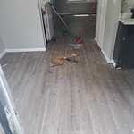 Remodeling