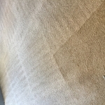 Brought this carpet back to life