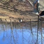 Before fence removal