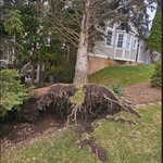 Uproot image