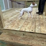 Project Photos