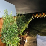 Lakeview Landscape Reno