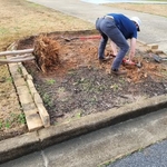 First Shrub removed