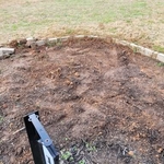 Hole from shrub covered