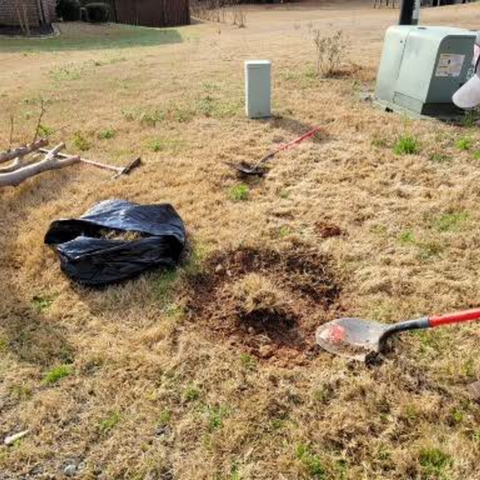 Digging new hole for shrub