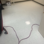 Strip waxed floors
