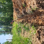 water service
