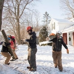 Tree Service