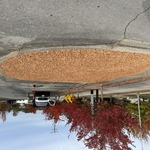 Finished rock work is now maintenance free!