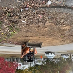 Ripping out the old bushes and saplings