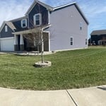 lawn treatment