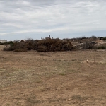 Land clearing