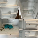 Before picture of fridge