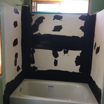Bath Remodel