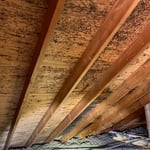 Attic Remediation