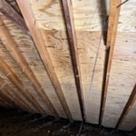 Attic Remediation