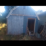 Shed Before