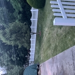 Along the Backyard