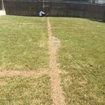 sprinkler installation