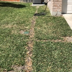 sprinkler installation