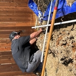 tying into existing lateral line