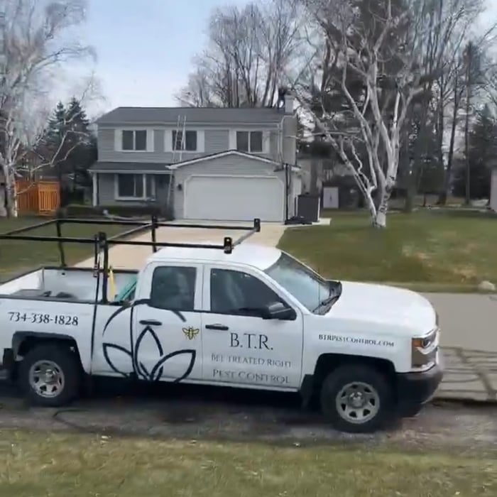Birds nest elimination