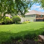 beautifully mowed back yard