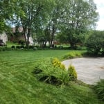 beautifully mowed back yard