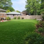 beautifully mowed back yard