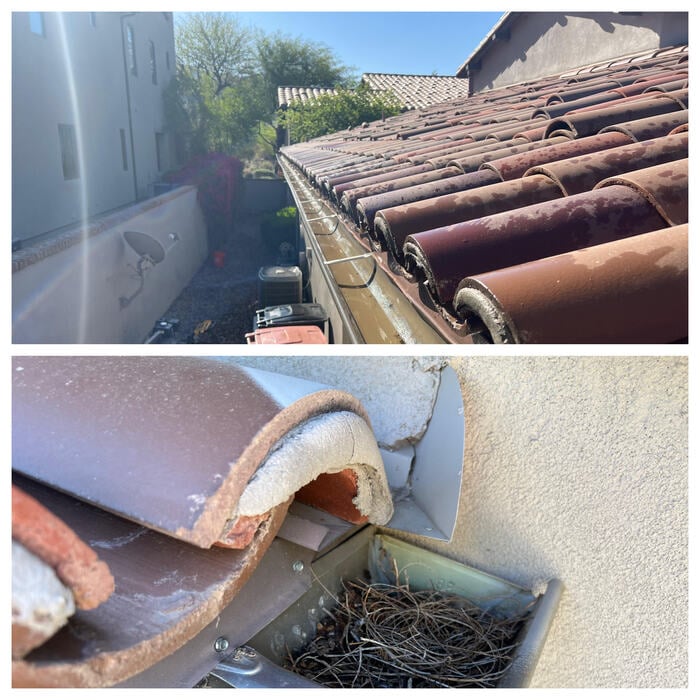 Roof/gutters before