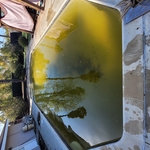 If the pool is green, time to get mean