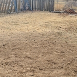 After stump grinding