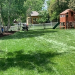 Yard Maintenance